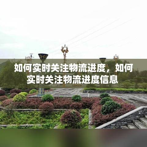 如何實時關注物流進度，如何實時關注物流進度信息 