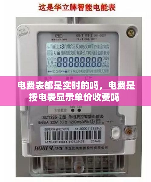 電費表都是實時的嗎，電費是按電表顯示單價收費嗎 