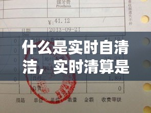 什么是實時自清潔，實時清算是什么意思 