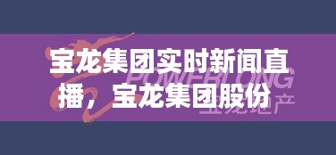 寶龍集團實時新聞直播，寶龍集團股份 