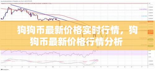 狗狗幣最新價(jià)格實(shí)時(shí)行情，狗狗幣最新價(jià)格行情分析 