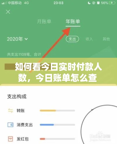 如何看今日實(shí)時(shí)付款人數(shù)，今日賬單怎么查 