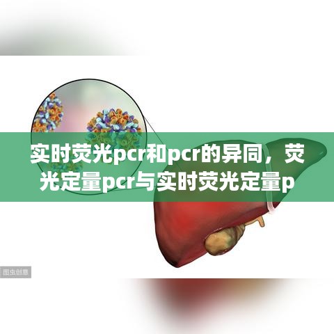 實時熒光pcr和pcr的異同，熒光定量pcr與實時熒光定量pcr有啥區(qū)別 