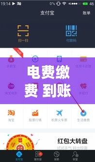 電費(fèi)繳費(fèi) 到賬實(shí)時(shí)，電費(fèi)繳費(fèi) 到賬實(shí)時(shí)到賬 