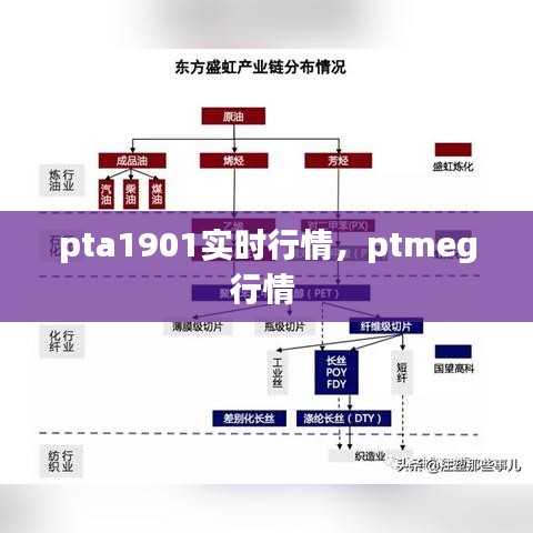 pta1901實時行情，ptmeg行情 