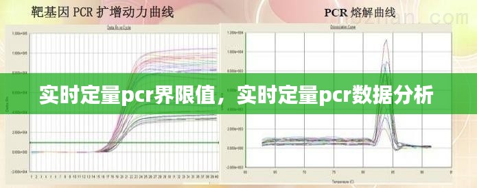 實時定量pcr界限值，實時定量pcr數(shù)據(jù)分析 