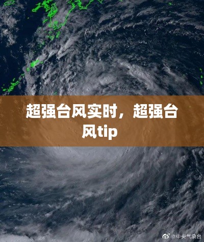 2024年12月22日 第16頁(yè)