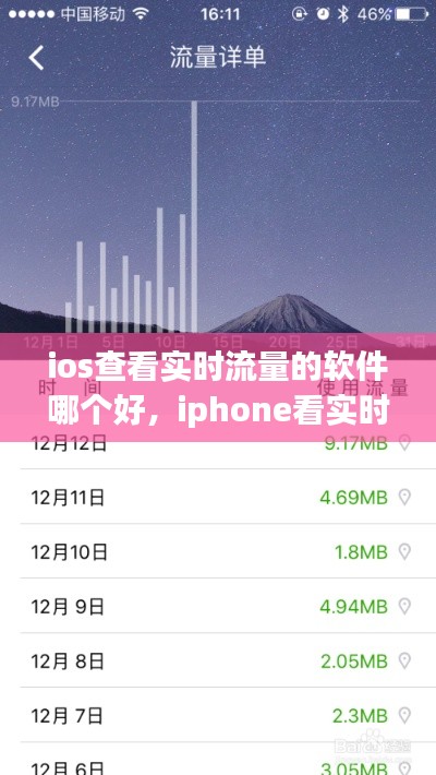 ios查看實時流量的軟件哪個好，iphone看實時流量 