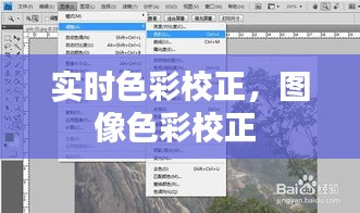 實時色彩校正，圖像色彩校正 