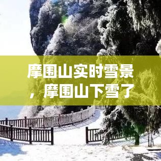 摩圍山實時雪景，摩圍山下雪了嗎2020 