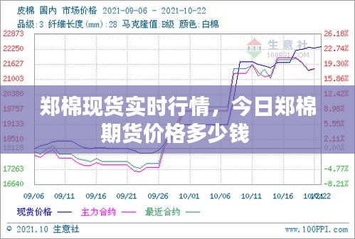 鄭棉現(xiàn)貨實時行情，今日鄭棉期貨價格多少錢 