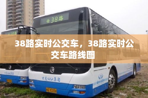 38路實(shí)時(shí)公交車，38路實(shí)時(shí)公交車路線圖 