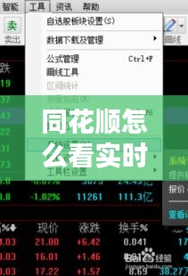 同花順怎么看實(shí)時(shí)動(dòng)態(tài)，同花順怎么看ene 
