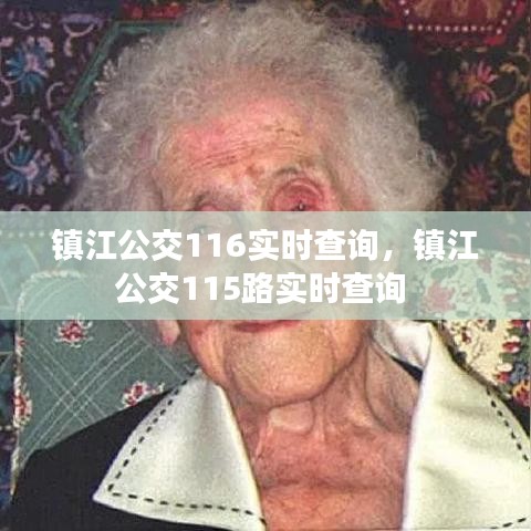 鎮(zhèn)江公交116實(shí)時(shí)查詢(xún)，鎮(zhèn)江公交115路實(shí)時(shí)查詢(xún) 