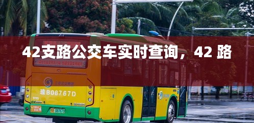 42支路公交車實時查詢，42 路 