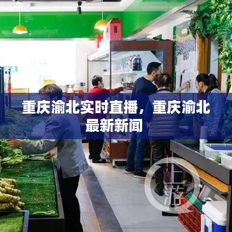 重慶渝北實時直播，重慶渝北最新新聞 