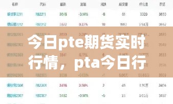 今日pte期貨實(shí)時(shí)行情，pta今日行情 