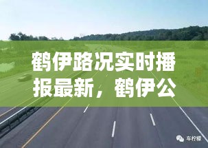 鶴伊路況實(shí)時(shí)播報(bào)最新，鶴伊公路22公里處發(fā)現(xiàn)老虎 