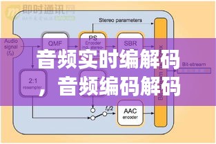 2024年12月24日 第20頁