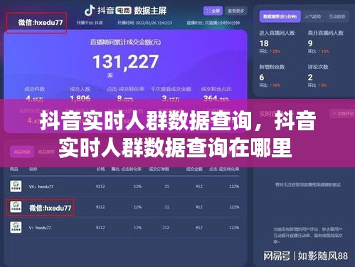 抖音實時人群數(shù)據(jù)查詢，抖音實時人群數(shù)據(jù)查詢在哪里 