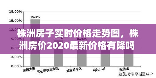 2024年12月24日 第19頁