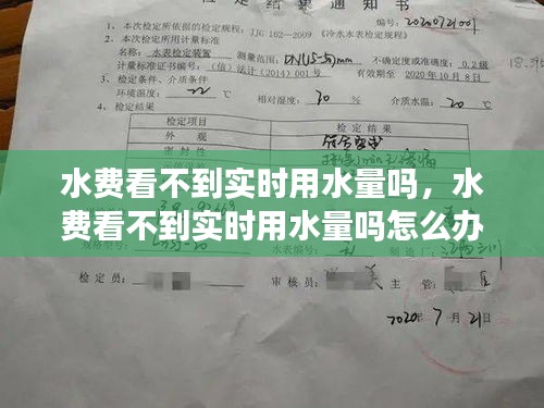 水費(fèi)看不到實(shí)時用水量嗎，水費(fèi)看不到實(shí)時用水量嗎怎么辦 