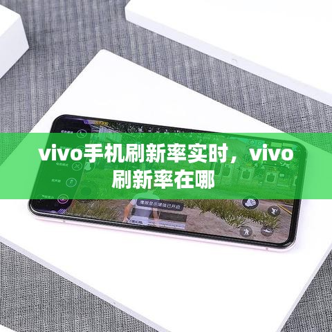 vivo手機刷新率實時，vivo刷新率在哪 