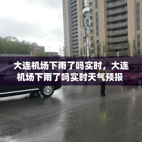 大連機場下雨了嗎實時，大連機場下雨了嗎實時天氣預報 