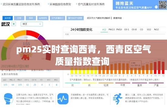 2024年12月25日 第12頁