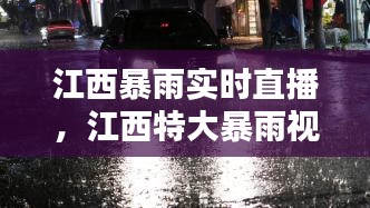 江西暴雨實時直播，江西特大暴雨視頻 