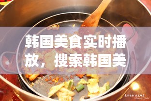 韓國美食實時播放，搜索韓國美食 