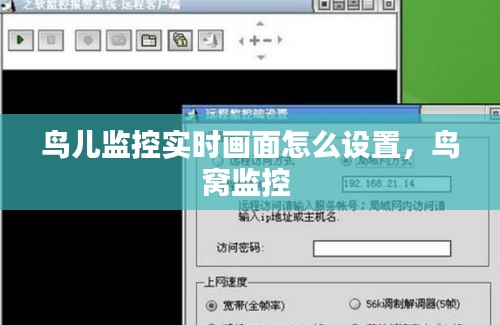 鳥兒監(jiān)控實時畫面怎么設置，鳥窩監(jiān)控 