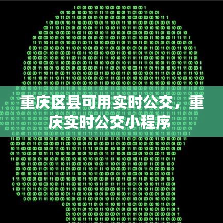 重慶區(qū)縣可用實時公交，重慶實時公交小程序 