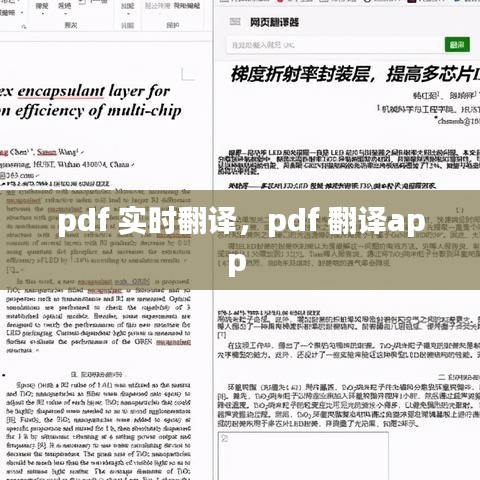 pdf 實時翻譯，pdf 翻譯app 