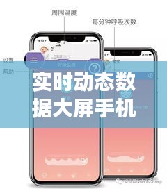 實(shí)時(shí)動(dòng)態(tài)數(shù)據(jù)大屏手機(jī)版，實(shí)時(shí)動(dòng)態(tài)意思 