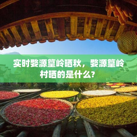 實時婺源篁嶺曬秋，婺源篁嶺村曬的是什么? 