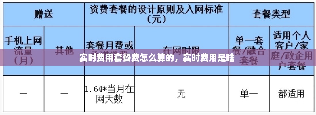 實(shí)時(shí)費(fèi)用套餐費(fèi)怎么算的，實(shí)時(shí)費(fèi)用是啥 