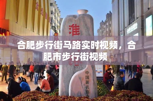 合肥步行街馬路實(shí)時(shí)視頻，合肥市步行街視頻 