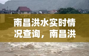 南昌洪水實(shí)時(shí)情況查詢，南昌洪水災(zāi)害 