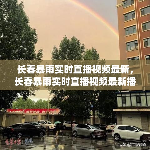 長春暴雨實時直播視頻最新，長春暴雨實時直播視頻最新播放 