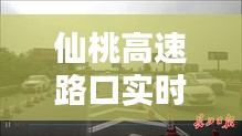 仙桃高速路口實時路況，仙桃高速路口實時路況查詢電話 