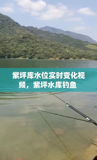 紫坪庫水位實時變化視頻，紫坪水庫釣魚 