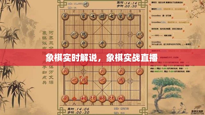 象棋實時解說，象棋實戰(zhàn)直播 