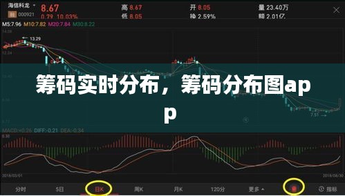 籌碼實時分布，籌碼分布圖app 