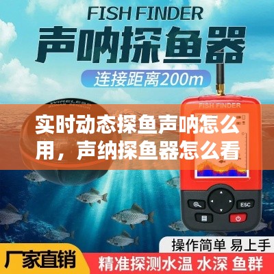 實(shí)時(shí)動(dòng)態(tài)探魚(yú)聲吶怎么用，聲納探魚(yú)器怎么看魚(yú)情 