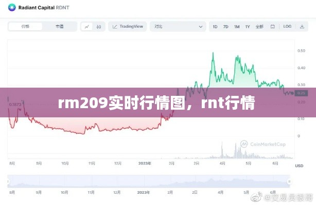 rm209實(shí)時(shí)行情圖，rnt行情 