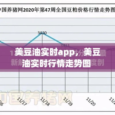 美豆油實時app，美豆油實時行情走勢圖 