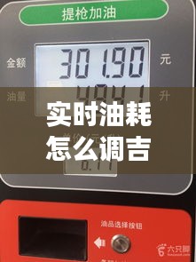 實(shí)時(shí)油耗怎么調(diào)吉利，吉利的油耗表準(zhǔn)嗎 