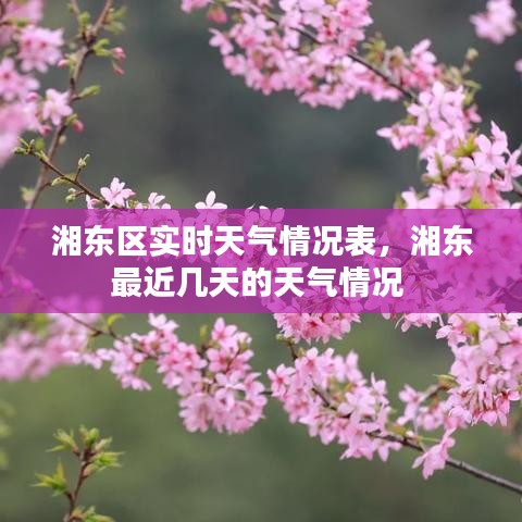 湘東區(qū)實時天氣情況表，湘東最近幾天的天氣情況 