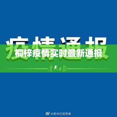 桐梓疫情實時最新通報， 